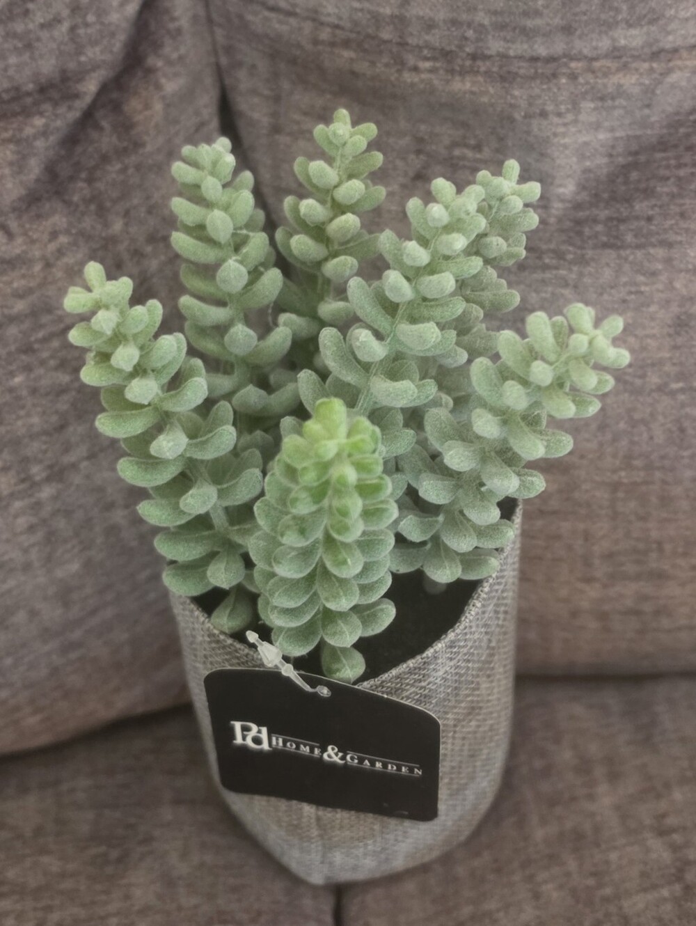 Faux Succulent Plant in Light Green